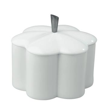 Magic box flower - with metal knob - Raynaud